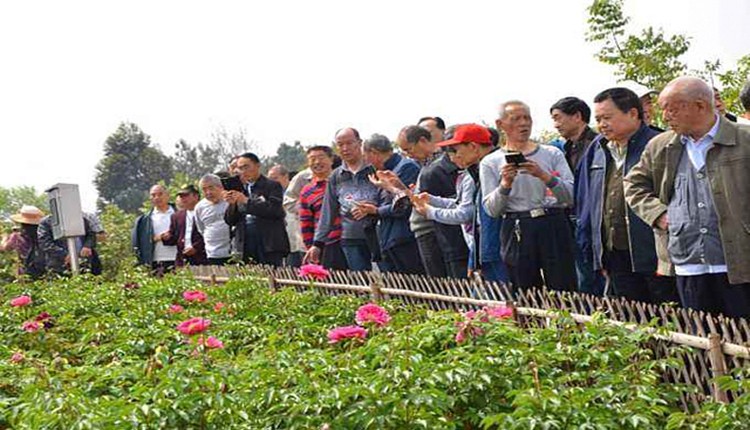 北川县五大“重器”携手共铸 农村改革结果全民共享
