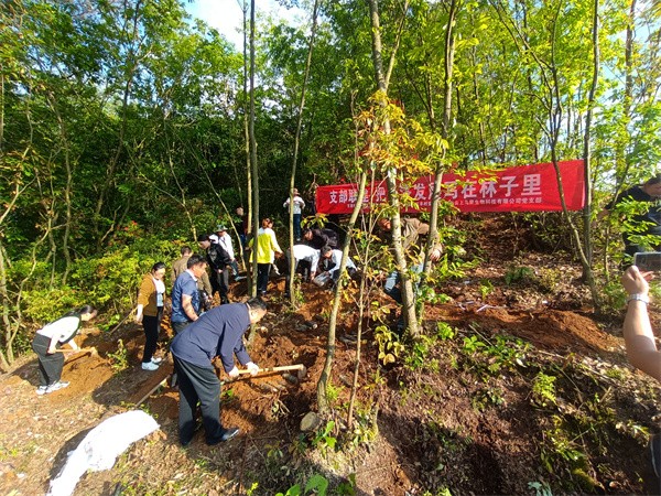 贵州百里杜鹃管理区：谱写生态经济“时代林业”新篇章