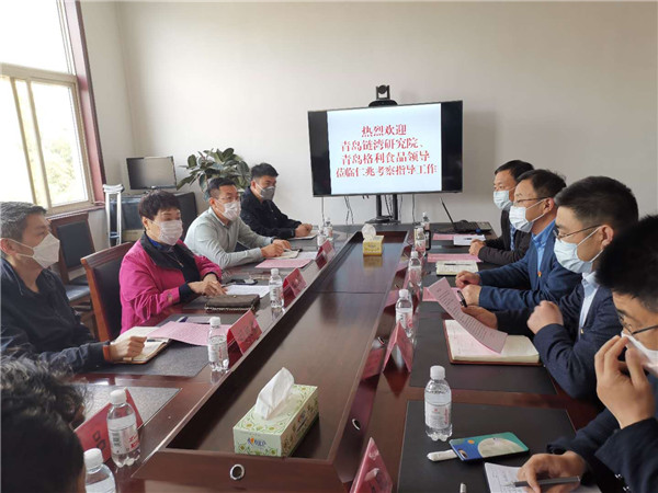 青岛高科技电商平台领导考察仁兆镇蔬菜产业发展