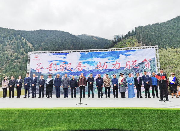 继首个“国际茶日”之后--青海省班玛县举办“三色班玛”第二届藏雪茶采摘节