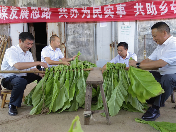 贵州思南：党员干部服务农民烘烤烟叶忙