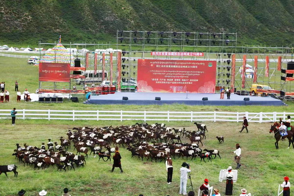 青海省黄南州同仁市多哇“达那”草原音乐节盛大开幕