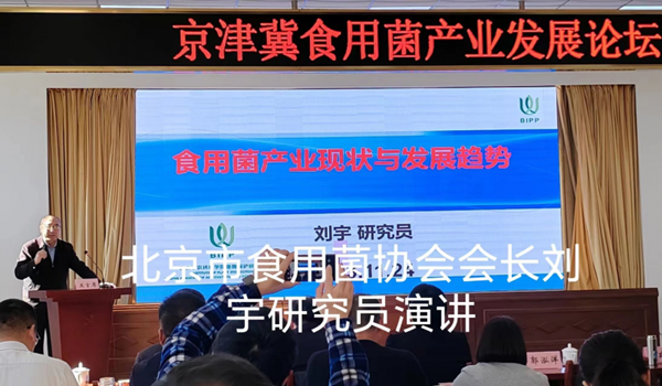 京津冀食用菌产业发展论坛在天津蓟州举办