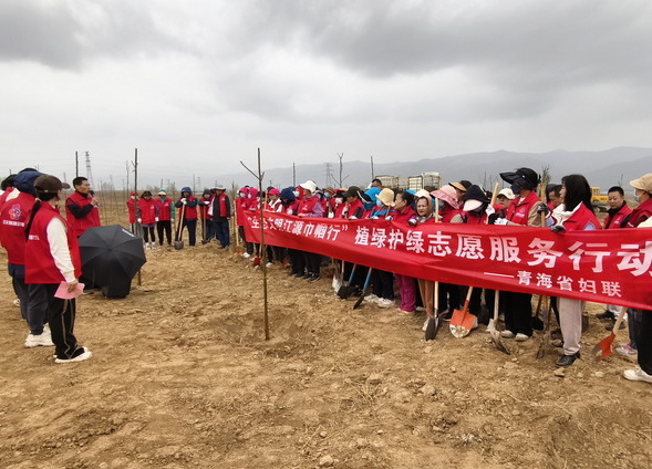 青海省妇联组织开展主题党日暨义务植树活动